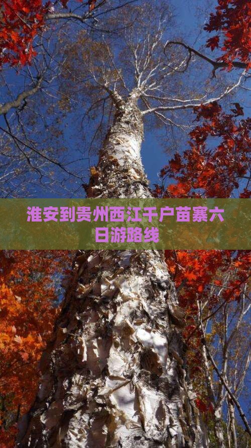 淮安到贵州西江千户苗寨六日游路线