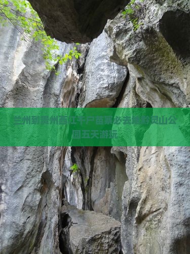 兰州到贵州西江千户苗寨必去地黔灵山公园五天游玩