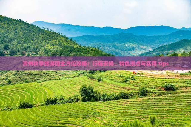 贵州秋季旅游团全方位攻略：行程安排、特色景点与实用 tips