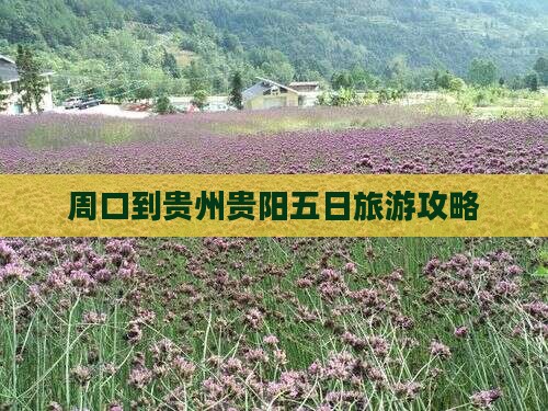 周口到贵州贵阳五日旅游攻略