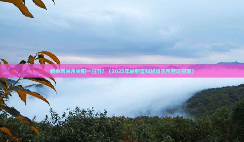 新余到贵州贵阳一日