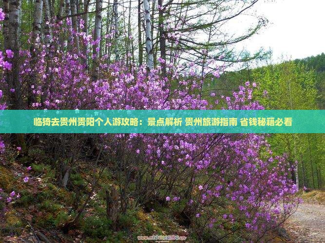 临猗去贵州贵阳个人游