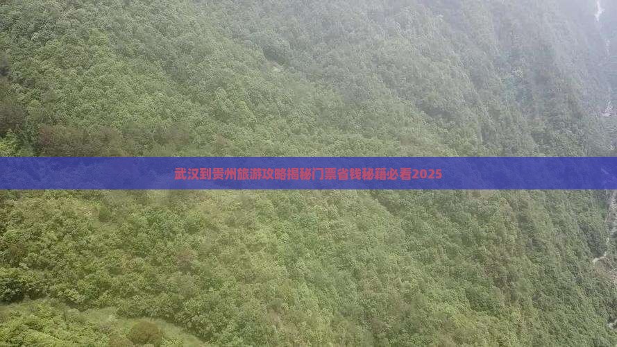 武汉到贵州贵阳门票