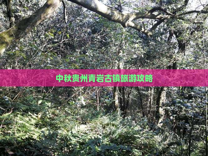 中秋节去贵州青岩古镇旅游