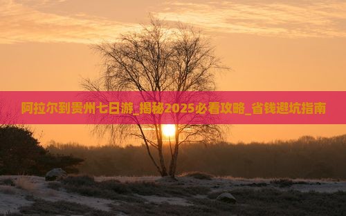 阿拉尔到贵州七日游