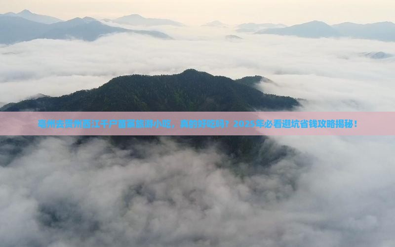 亳州去贵州西江千户苗寨旅游小吃