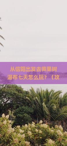 信阳到贵州黄果树瀑布七日游