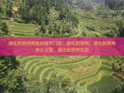 通化到贵州黄果树瀑布门票
