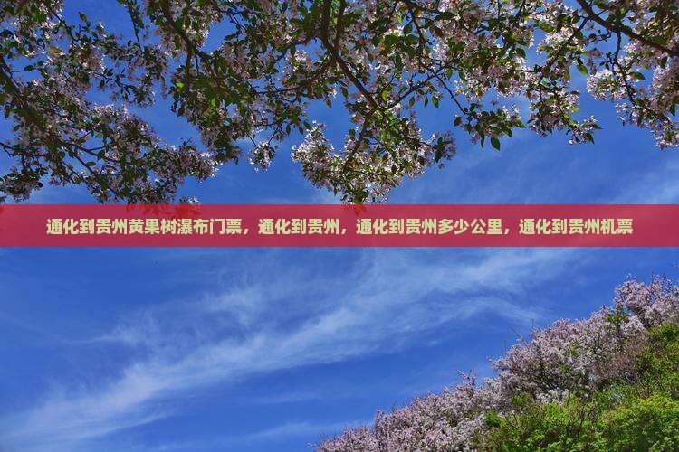 通化到贵州黄果树瀑布门票