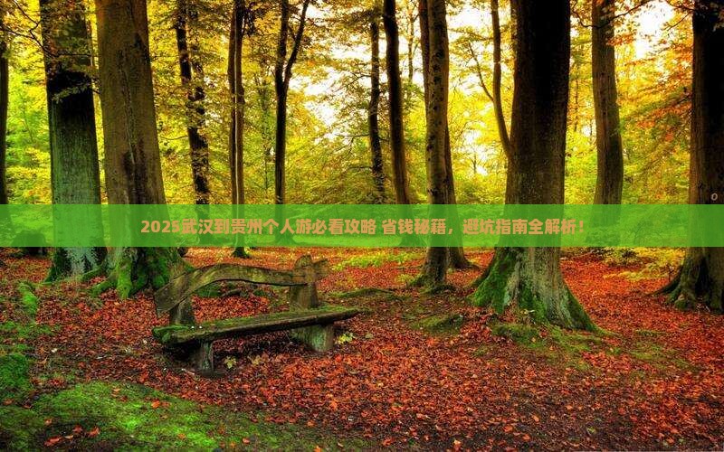 武汉到贵州个人游