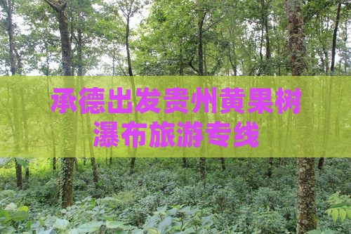承德去贵州黄果树瀑布旅行社