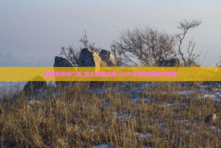 那曲到贵州门票