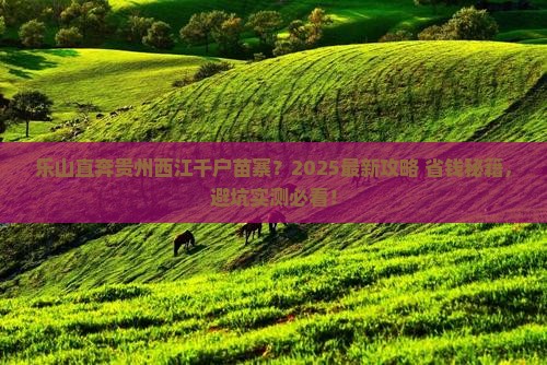 乐山去贵州西江千户苗寨哪里玩
