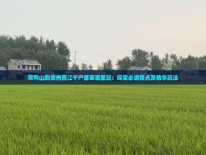 双鸭山到贵州西江千户苗寨哪里玩：探索必游景点及精华玩法