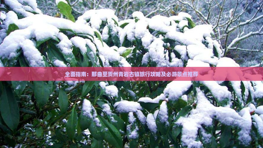 全面指南：那曲至贵州青岩古镇旅行攻略及必游景点推荐