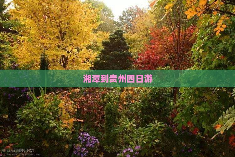 湘潭到贵州四日游