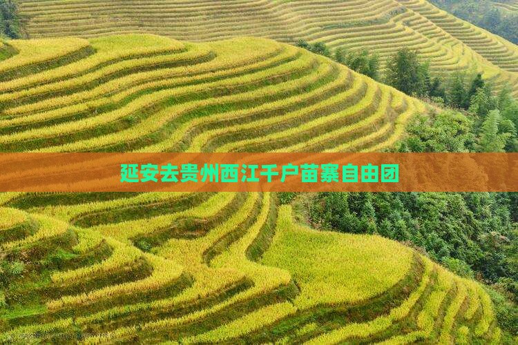 延安去贵州西江千户苗寨自由团