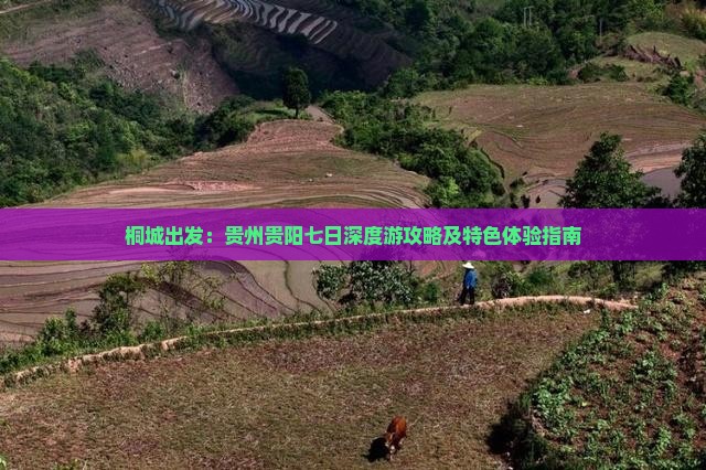 桐城出发：贵州贵阳七日深度游攻略及特色体验指南
