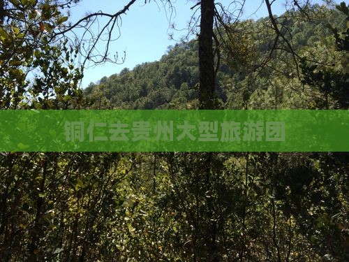 铜仁去贵州大型旅游团