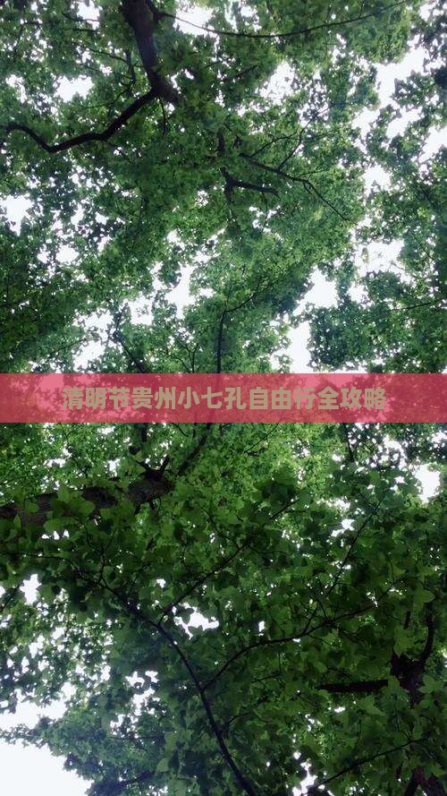 清明节贵州小七孔自由行全攻略