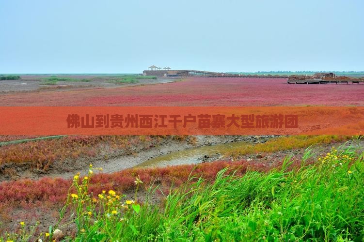 佛山到贵州西江千户苗寨大型旅游团