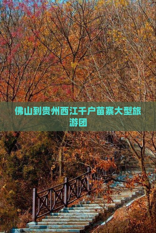 佛山到贵州西江千户苗寨大型旅游团