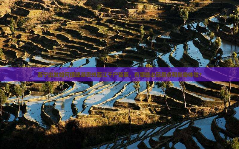 西宁出发如何便捷游贵州西江千户苗寨，有哪些必玩景点和新奇体验？
