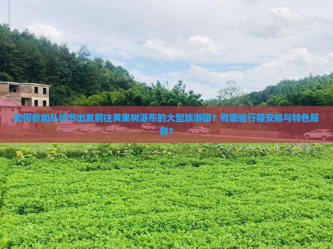如何参加从毕节出发前往黄果树瀑布的大型旅游团？有哪些行程安排与特色服务？