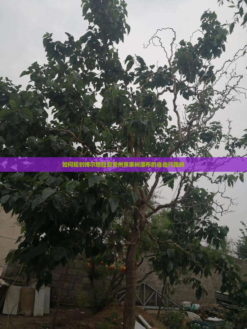 如何规划博尔塔拉到贵州黄果树瀑布的自由行路峡