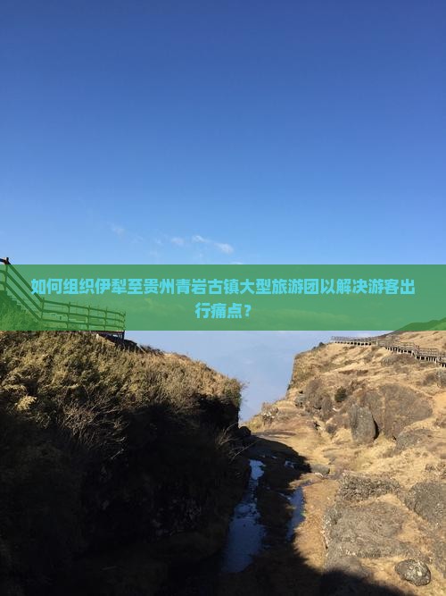 如何组织伊犁至贵州青岩古镇大型旅游团以解决游客出行痛点？