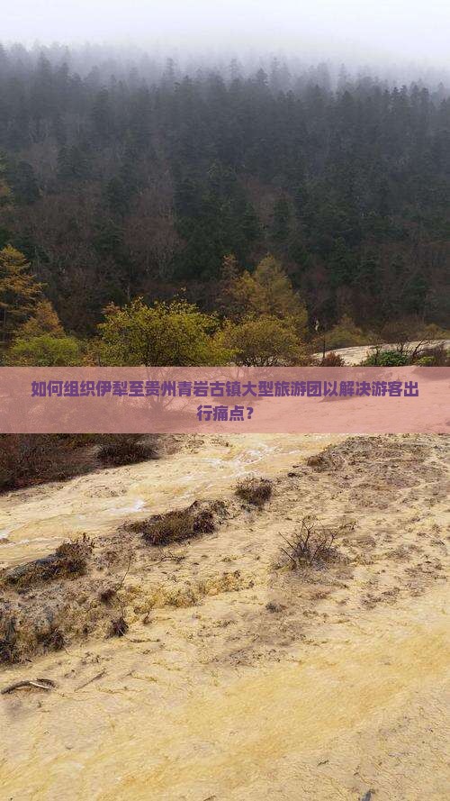 如何组织伊犁至贵州青岩古镇大型旅游团以解决游客出行痛点？