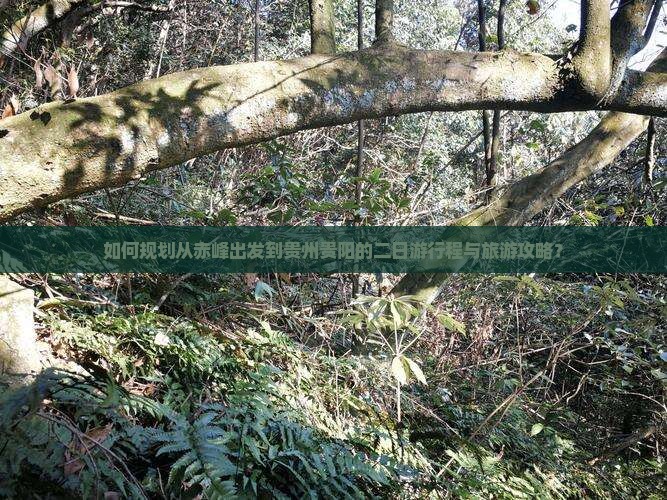 如何规划从赤峰出发到贵州贵阳的二日游行程与旅游攻略？