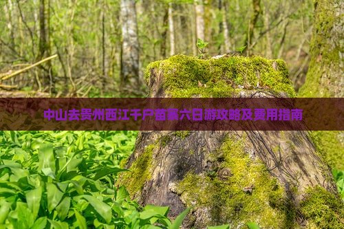 中山去贵州西江千户苗寨六日游攻略及费用指南
