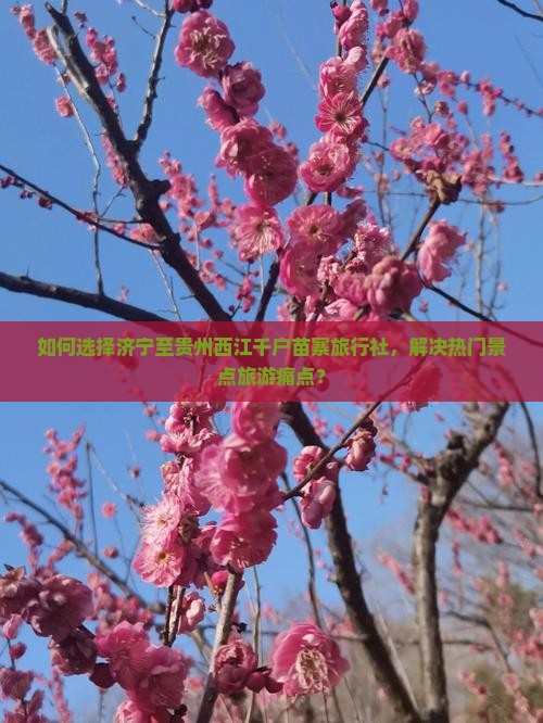 如何选择济宁至贵州西江千户苗寨旅行社，解决热门景点旅游痛点？