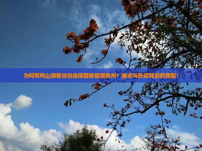 为何双鸭山游客纷纷选择团体旅游贵州？痛点与热词背后的原因！