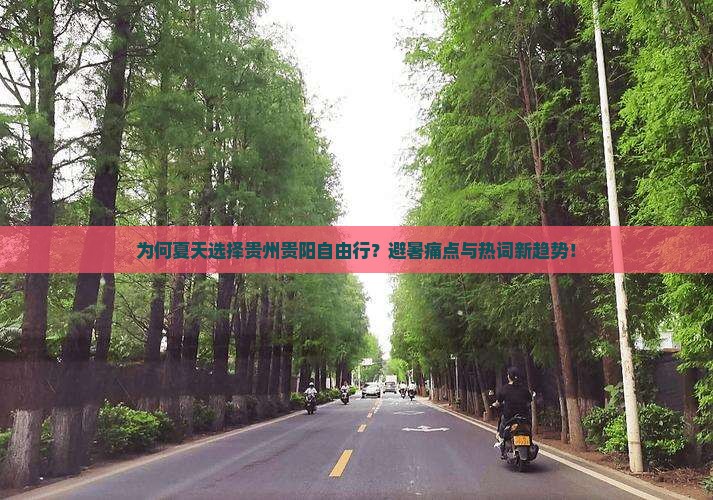 为何夏天选择贵州贵阳自由行？避暑痛点与热词新趋势！