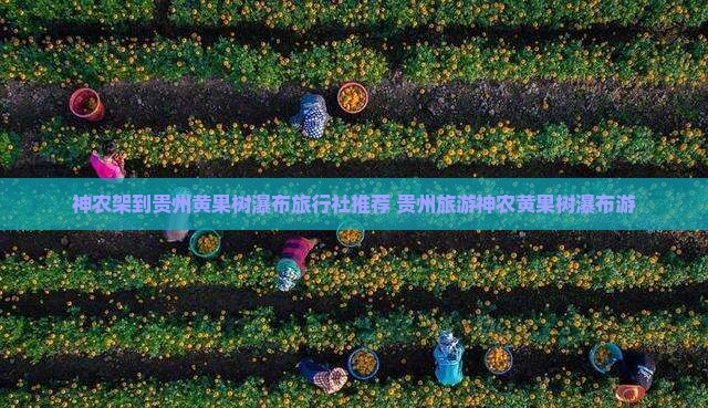 神农架到贵州黄果树瀑布旅行社推荐 贵州旅游神农黄果树瀑布游