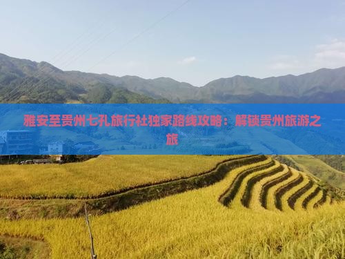 雅安至贵州七孔旅行社独家路线攻略：解锁贵州旅游之旅