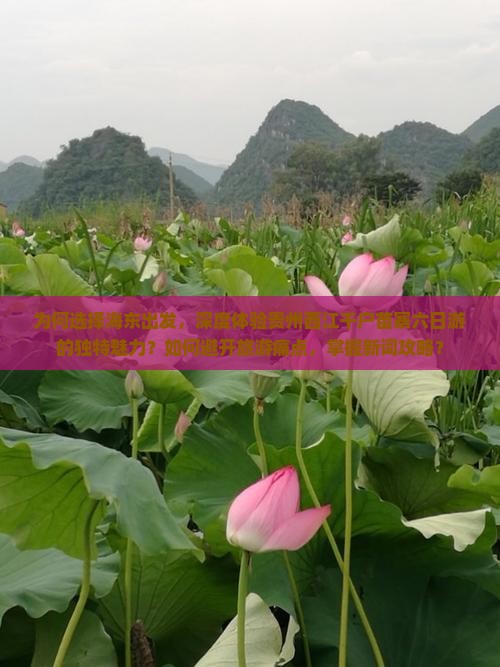 为何选择海东出发，深度体验贵州西江千户苗寨六日游的独特魅力？如何避开旅游痛点，掌握新词攻略？