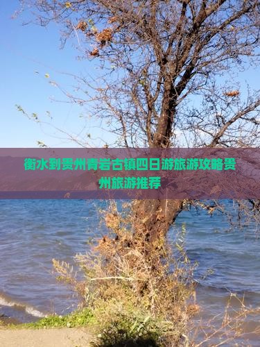衡水到贵州青岩古镇四日游旅游攻略贵州旅游推荐