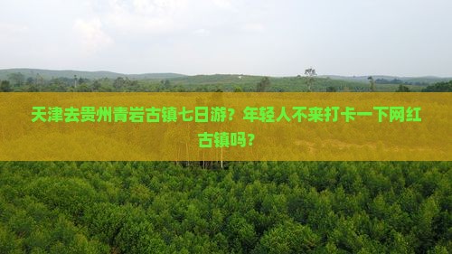 天津去贵州青岩古镇七日游？年轻人不来打卡一下网红古镇吗？