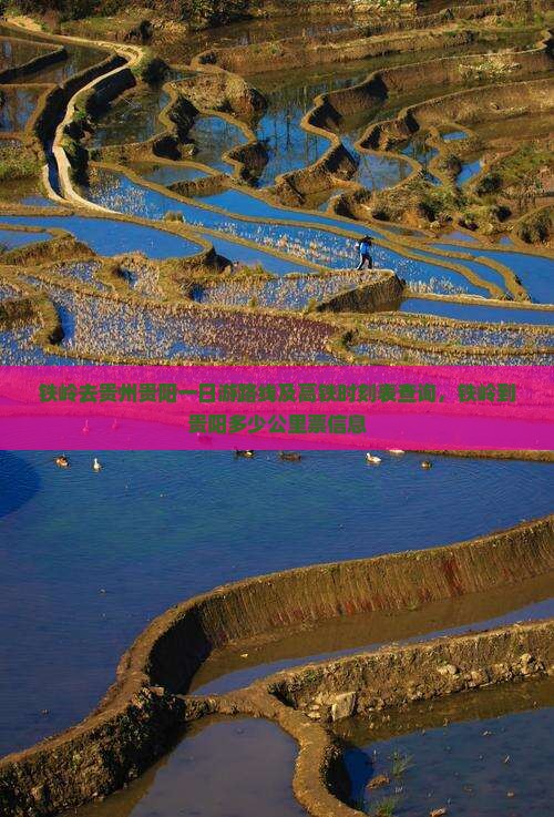 铁岭去贵州贵阳一日游路线及高铁时刻表查询，铁岭到贵阳多少公里票信息