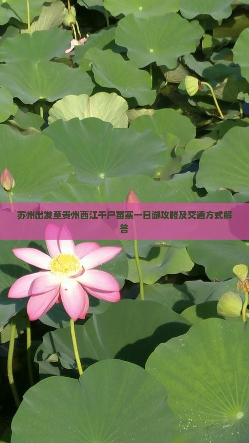 苏州出发至贵州西江千户苗寨一日游攻略及交通方式解答