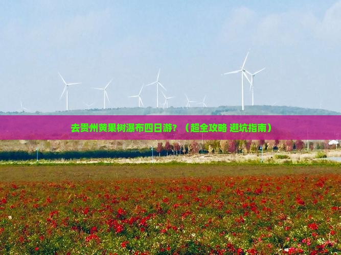 株洲去贵州黄果树瀑布四日游