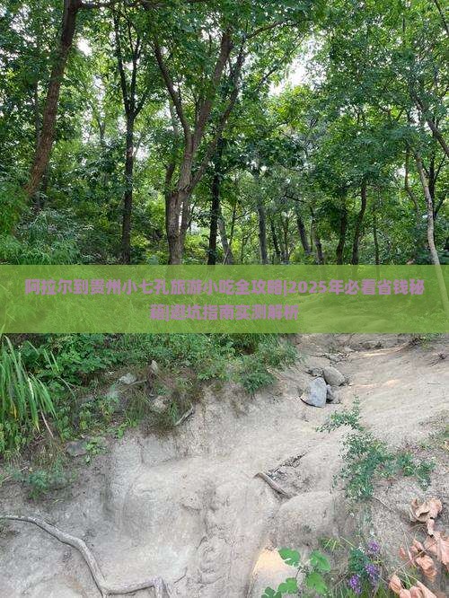 阿拉尔到贵州小七孔旅游小吃