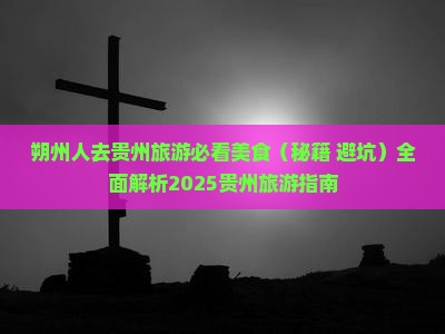 朔州去贵州旅游小吃