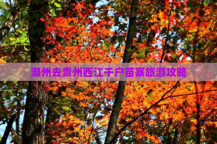 潮州去贵州西江千户苗寨自由团