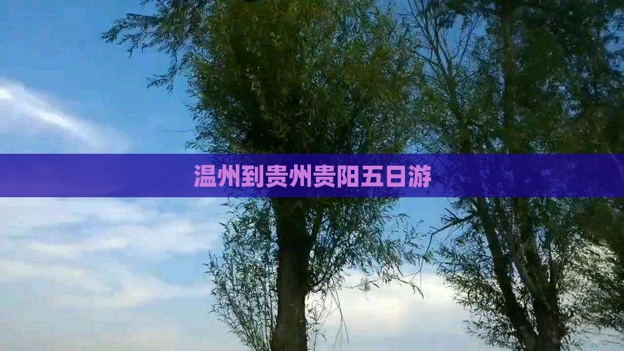 温州到贵州贵阳五日游