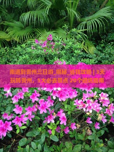 南通到贵州三日游