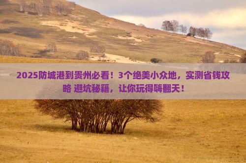 防城港到贵州哪里玩